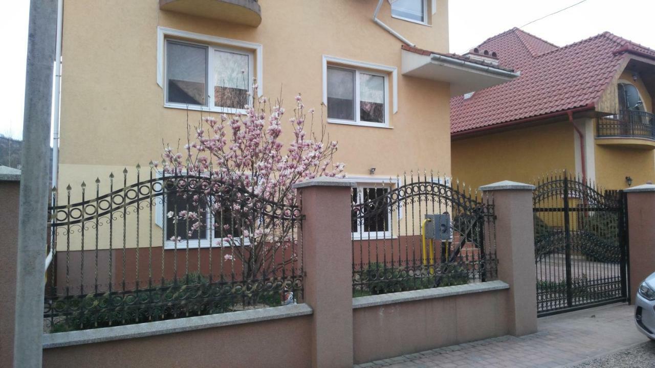 I & I Apartment Berehove (Transcarpathia)